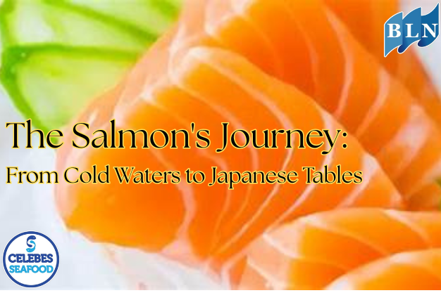 The Salmon's Journey: From Cold Waters to Japanese Tables
